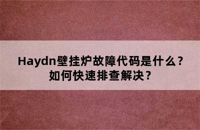 Haydn壁挂炉故障代码是什么？如何快速排查解决？