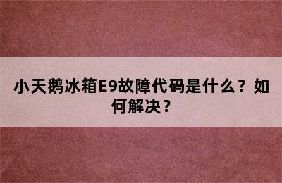 小天鹅冰箱E9故障代码是什么？如何解决？