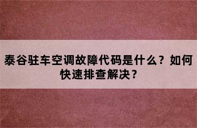 泰谷驻车空调故障代码是什么？如何快速排查解决？