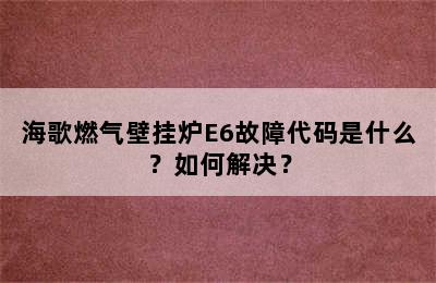 海歌燃气壁挂炉E6故障代码是什么？如何解决？