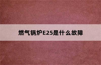 燃气锅炉E25是什么故障