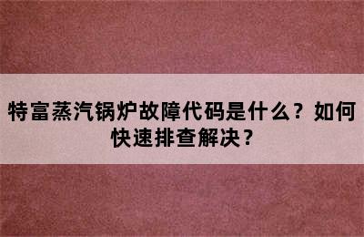 特富蒸汽锅炉故障代码是什么？如何快速排查解决？