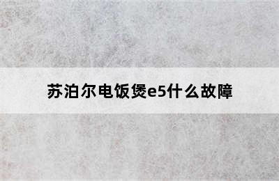 苏泊尔电饭煲e5什么故障