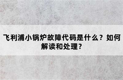 飞利浦小锅炉故障代码是什么？如何解读和处理？
